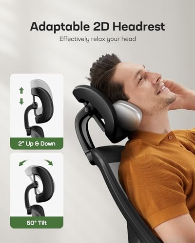 Ergonomic Mesh High Back Desk Chair with Headrest R8262