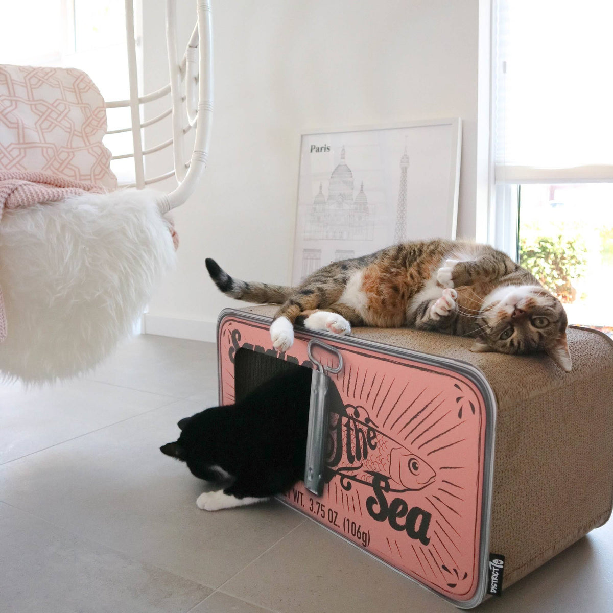 Cardboard Cat Scratcher P69188