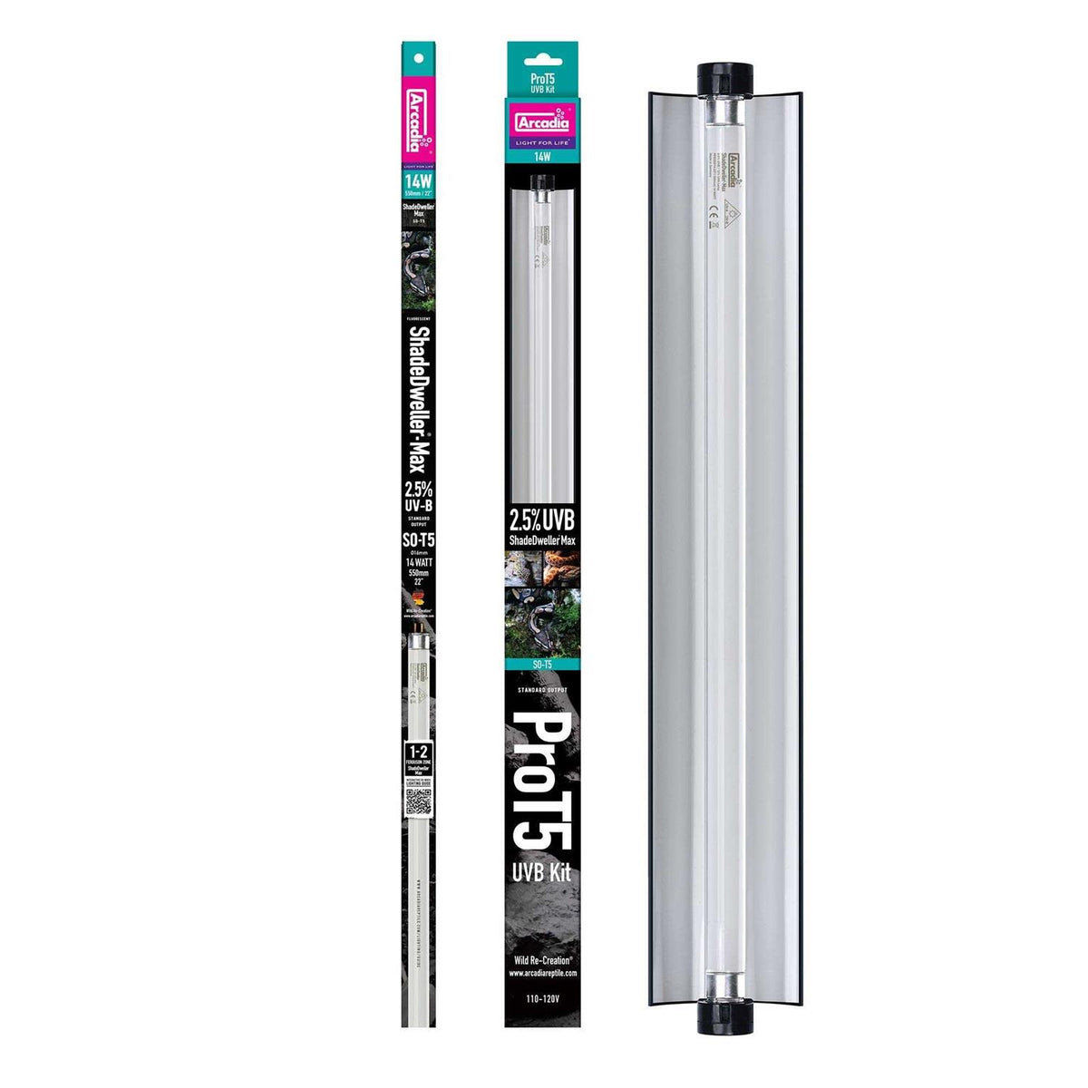 Reptile Kit J8601
