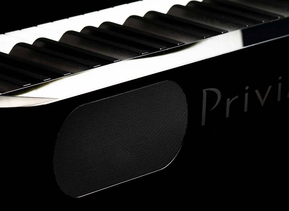 88-Key Black Digital Piano E371