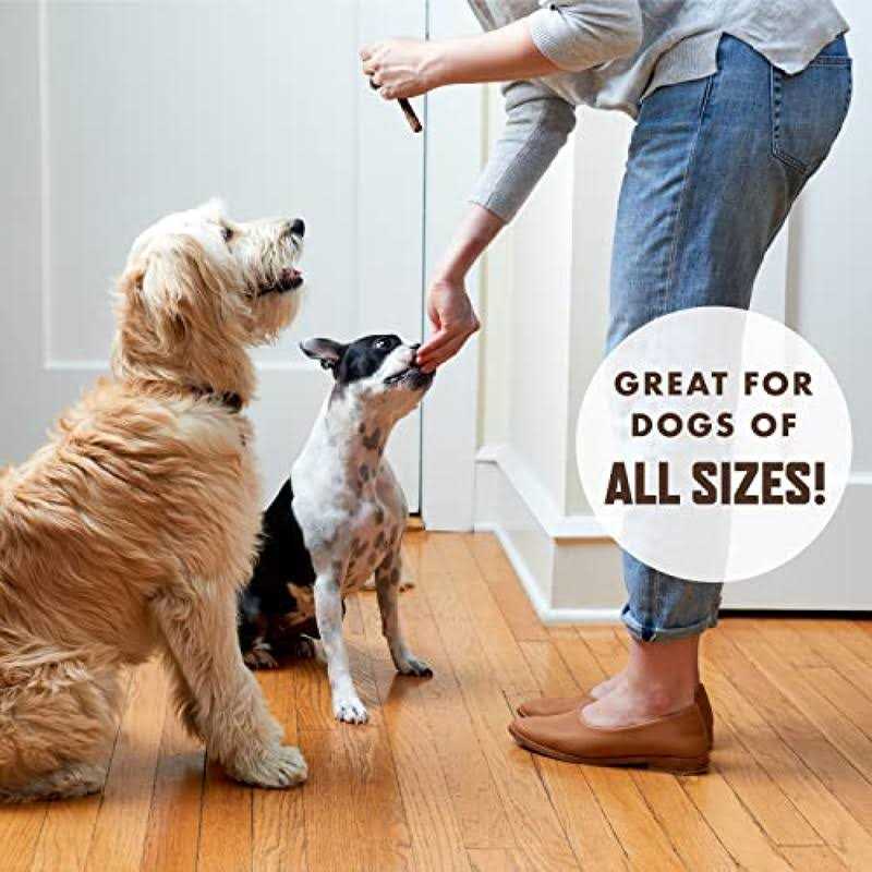 Dog Toy J45419