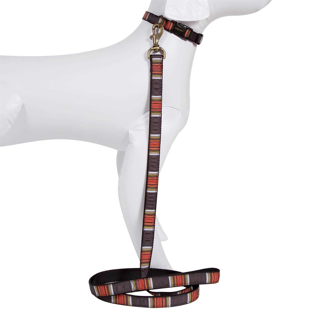 Dog Collar K9678