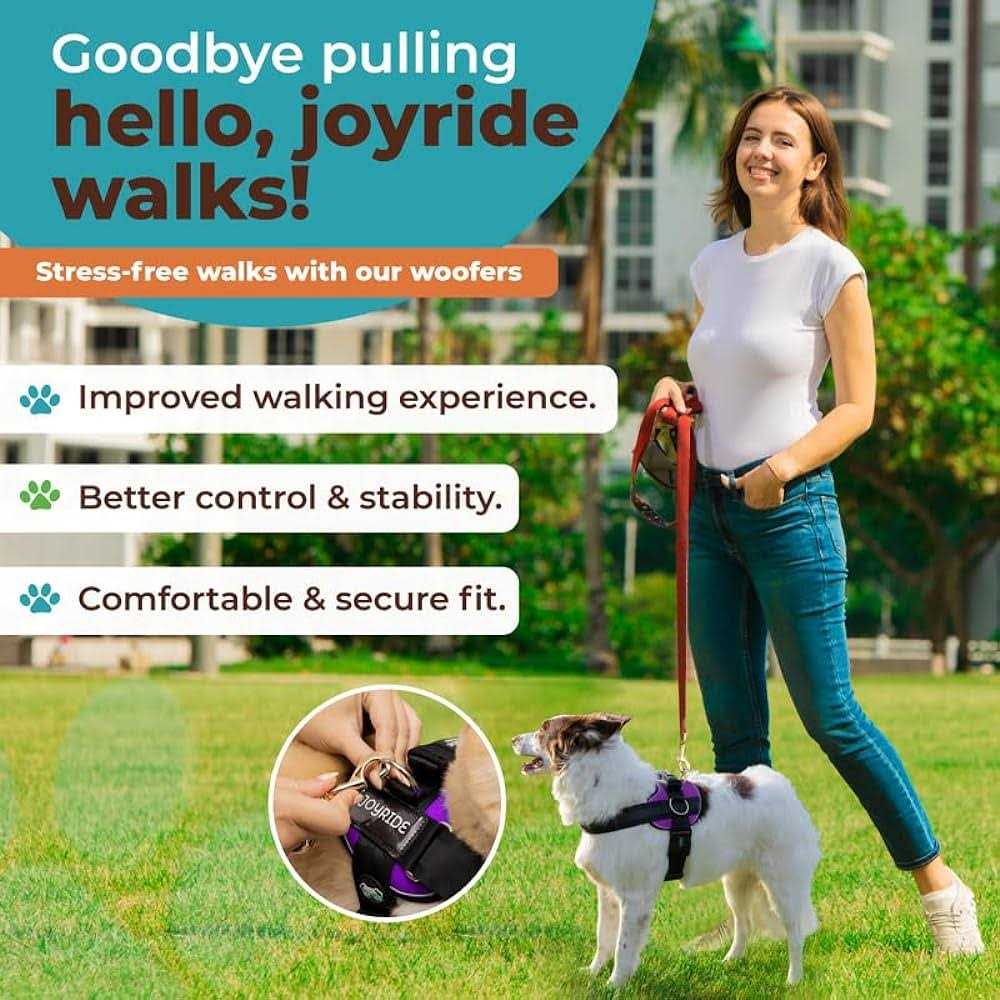 No Pull Easy On-Off Dog Harness H5864