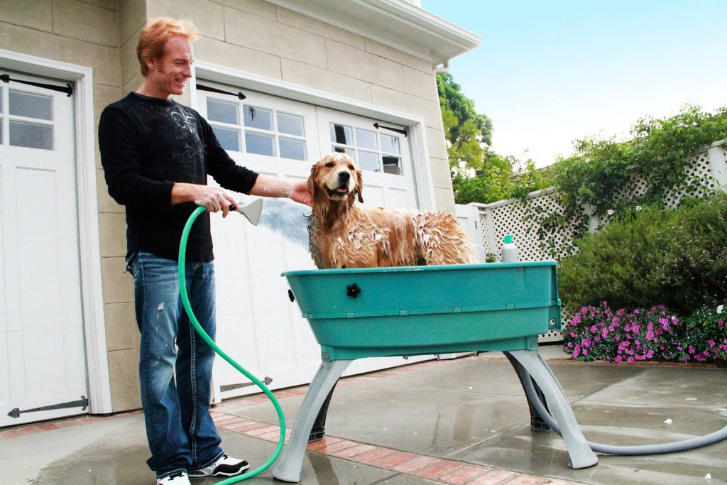 Elevated Pet Bathing Large W301