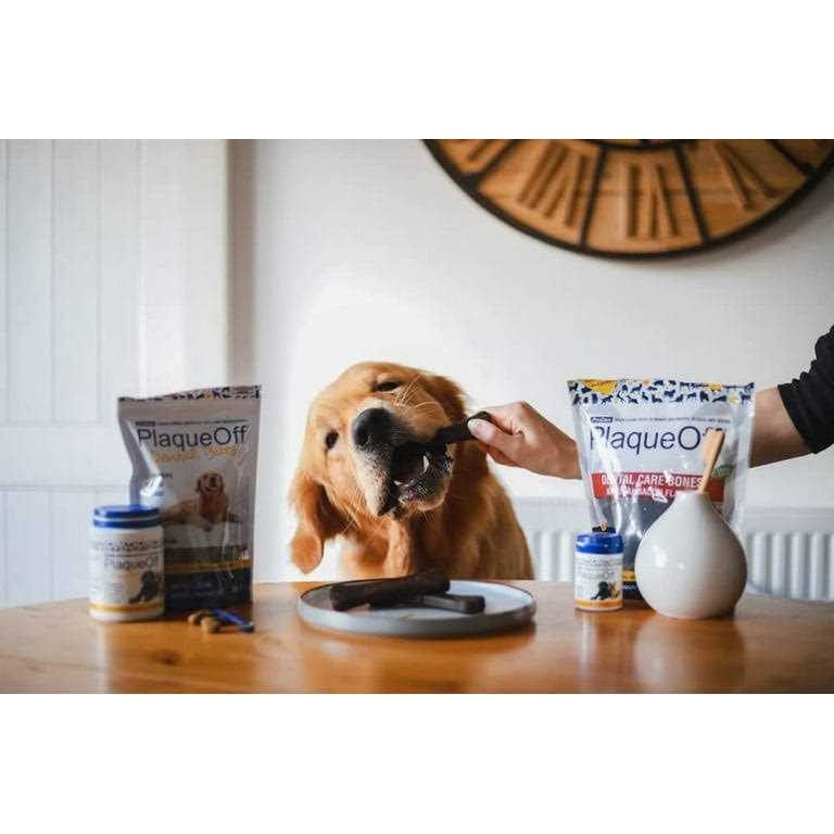 Mini Dental Bones Vegetable Fusion & Blueberry T95849