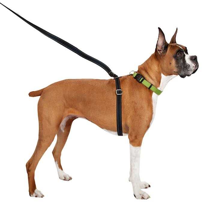 Retractable Dog Leash N923247