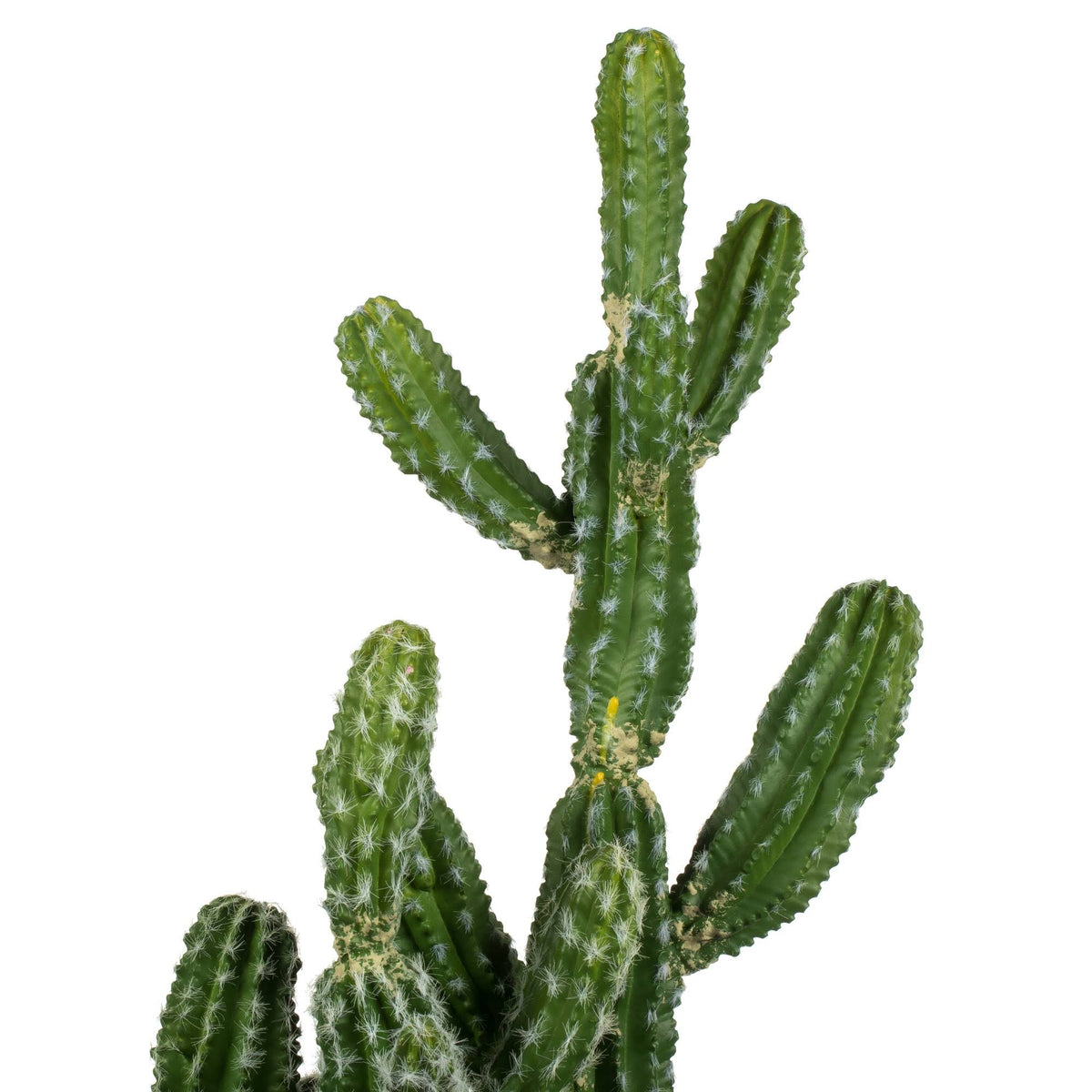 Green Potted Cactus N7133