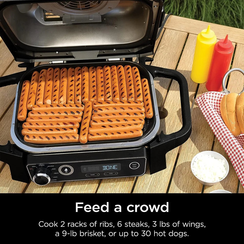 Outdoor Grill and Smoker P6431
