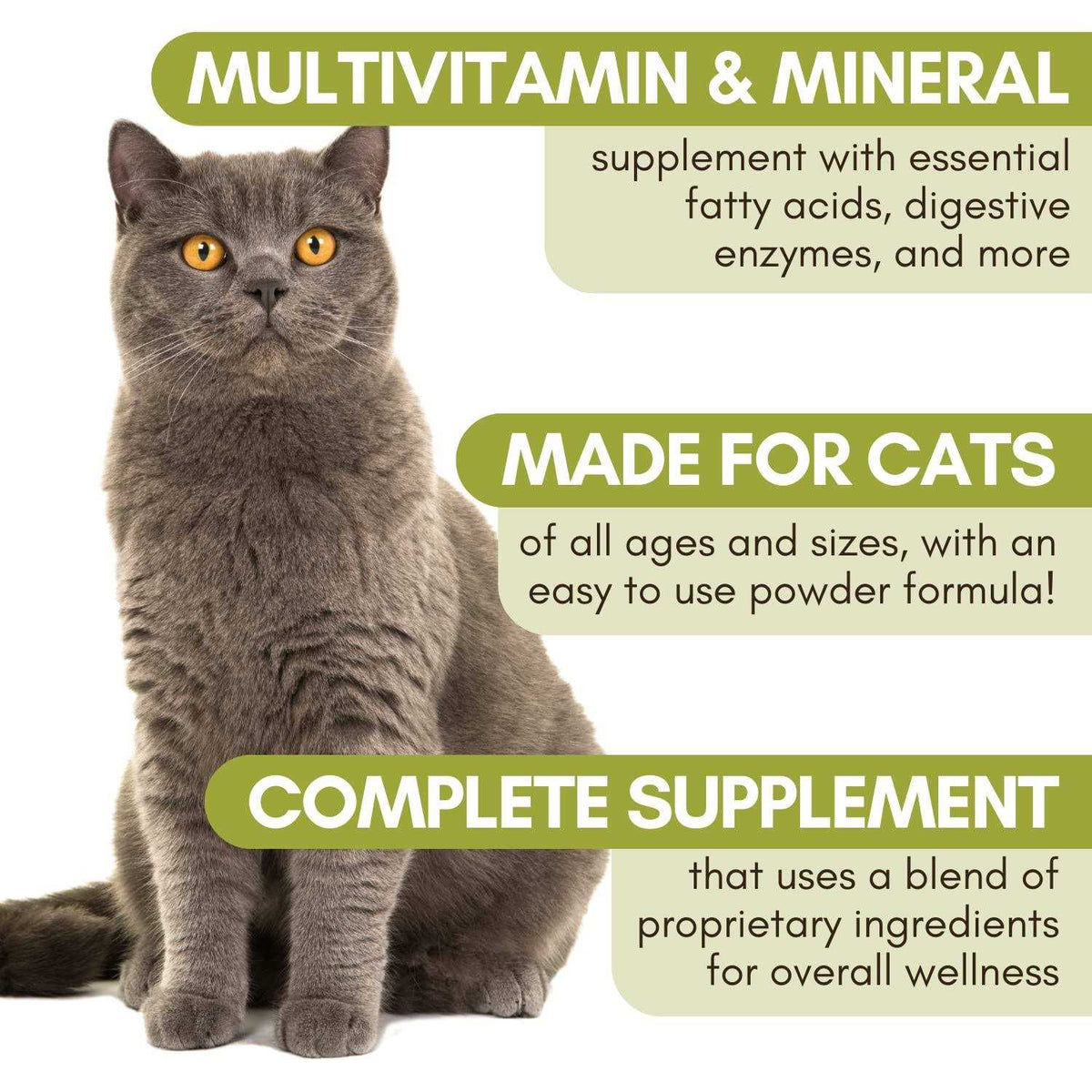 Complete Cat Pet Supplies A74004