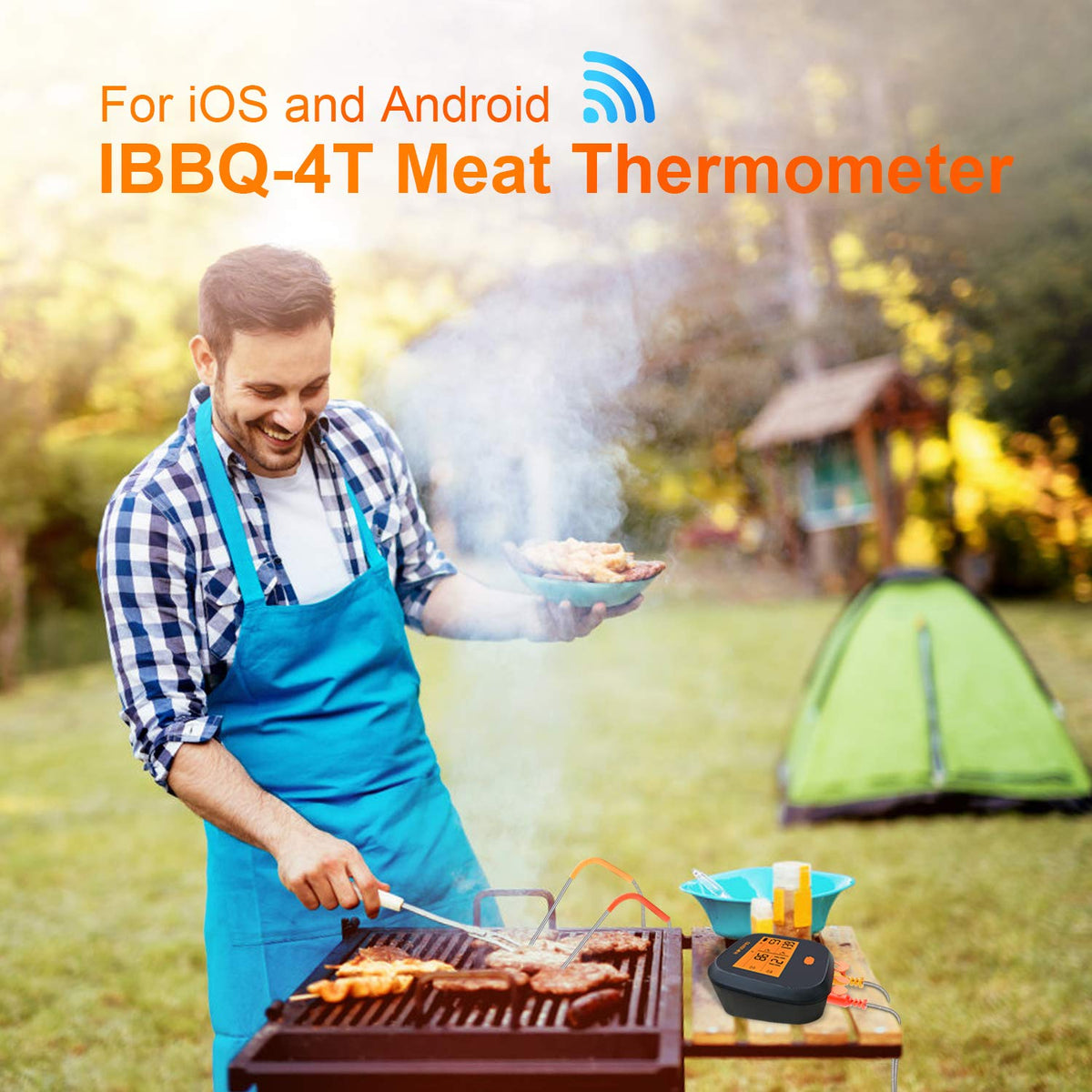 WiFi Meat Thermometer with 4 Probes & Hard Carrying Case N221656