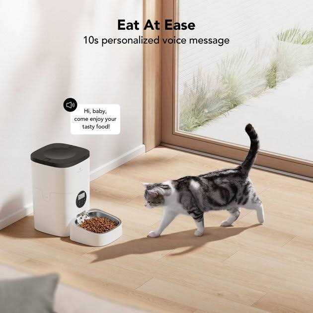 Automatic Dog & Cat Feeder F755782