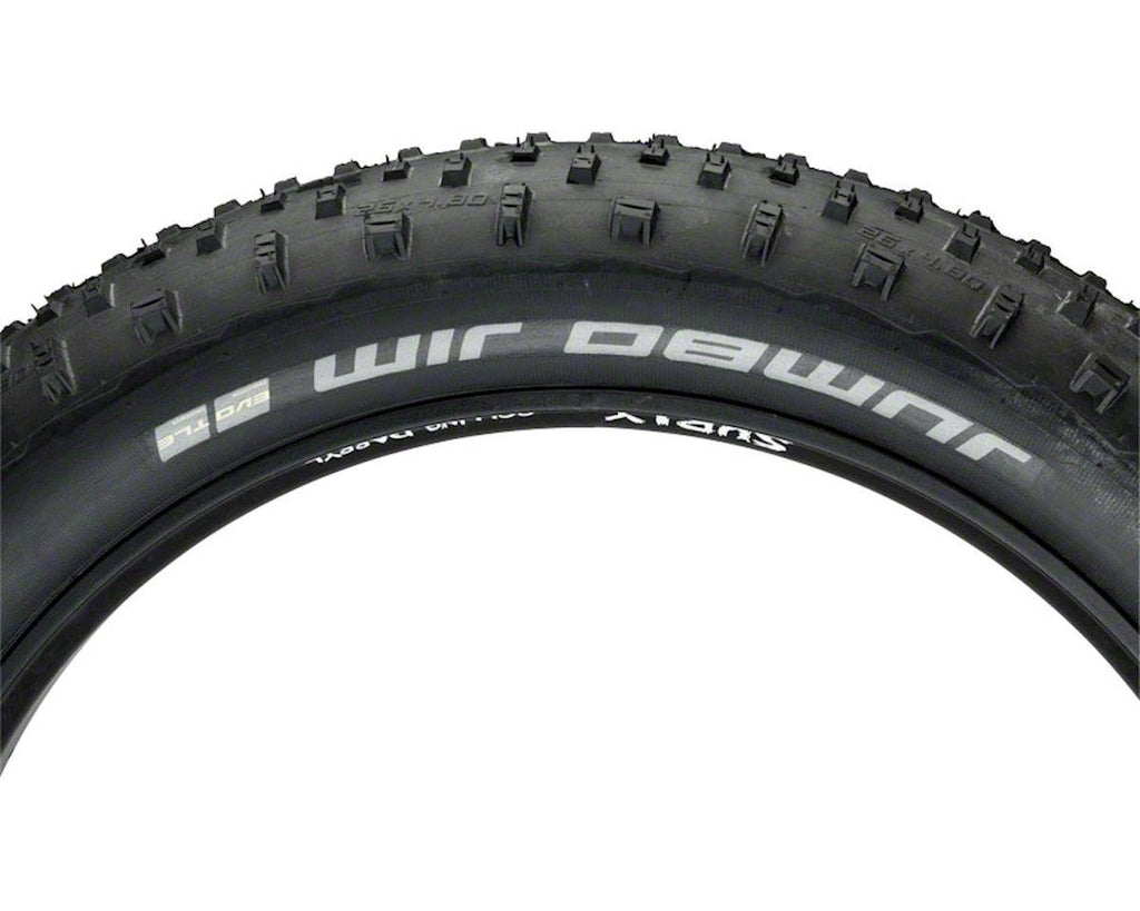 Tubeless Bike Tire M33306