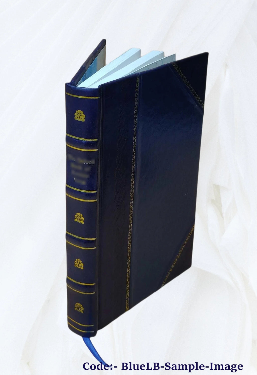 Woods and Lakes of Maine Trip from Moosehead Lake to New Brunswick in a Birch-Bark Canoe with Indian Place-Names and Their Meanings 1971 Leather Bound H2182
