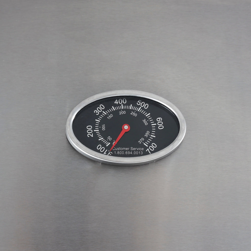 2-Burner Propane Gas Grill, Stainless and Black X19120