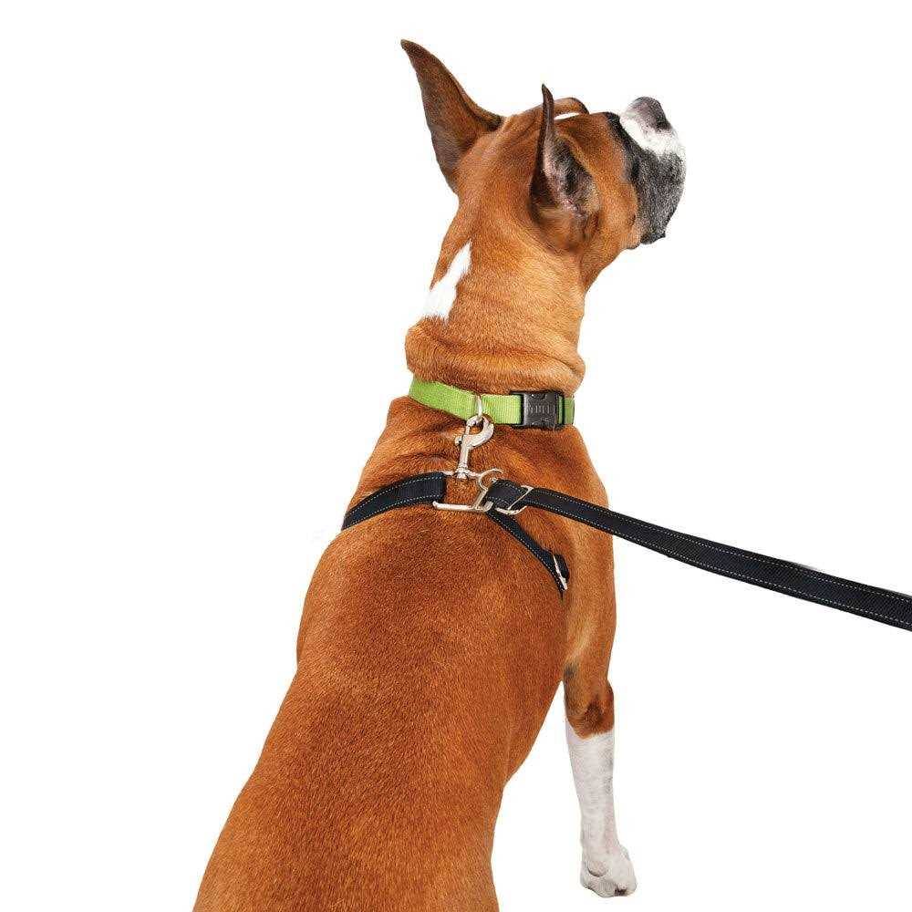 Retractable Dog Leash N923247