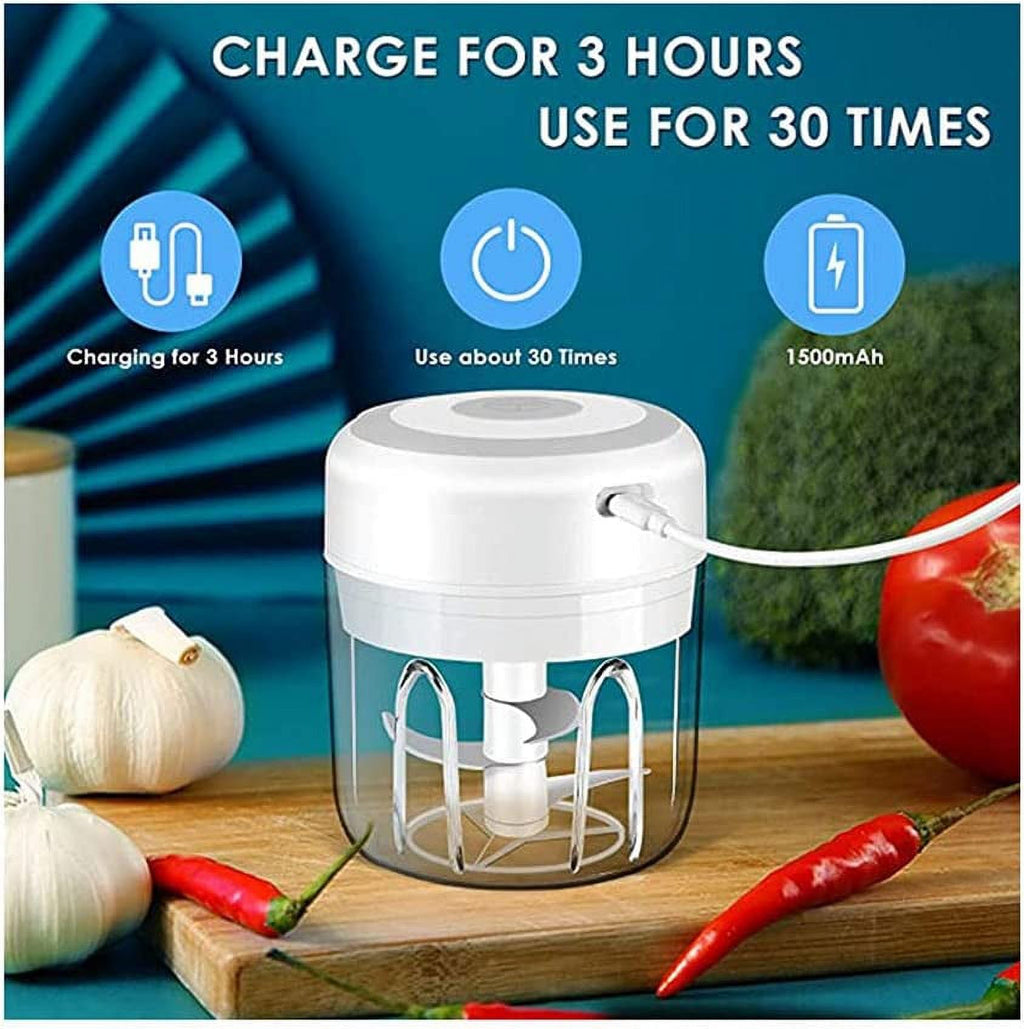 250ml Electric Mini Garlic Chopper Food Processor Z65424
