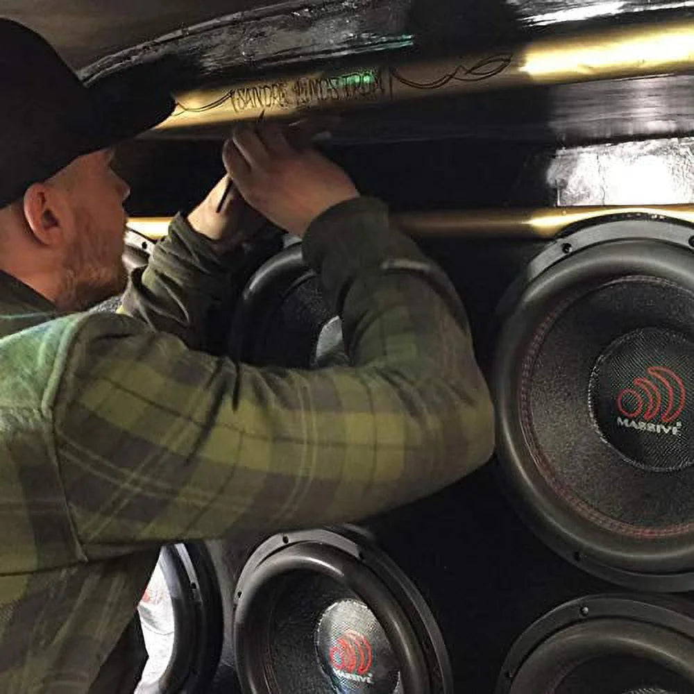 10 Inch 1400W Dual Voice Coil 2 Ohm Car Subwoofer Q197068
