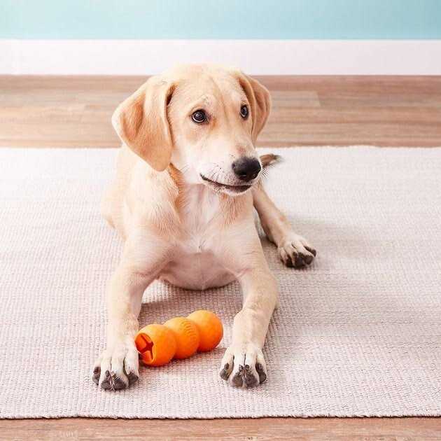 Dog Toy I594