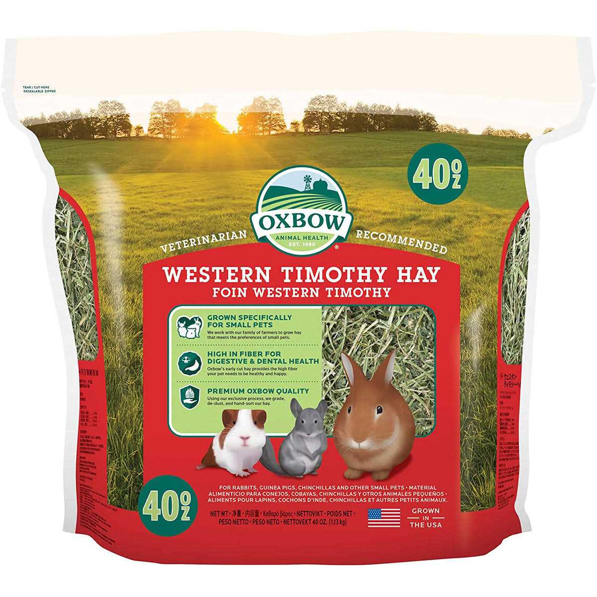 Timothy Hay A68223