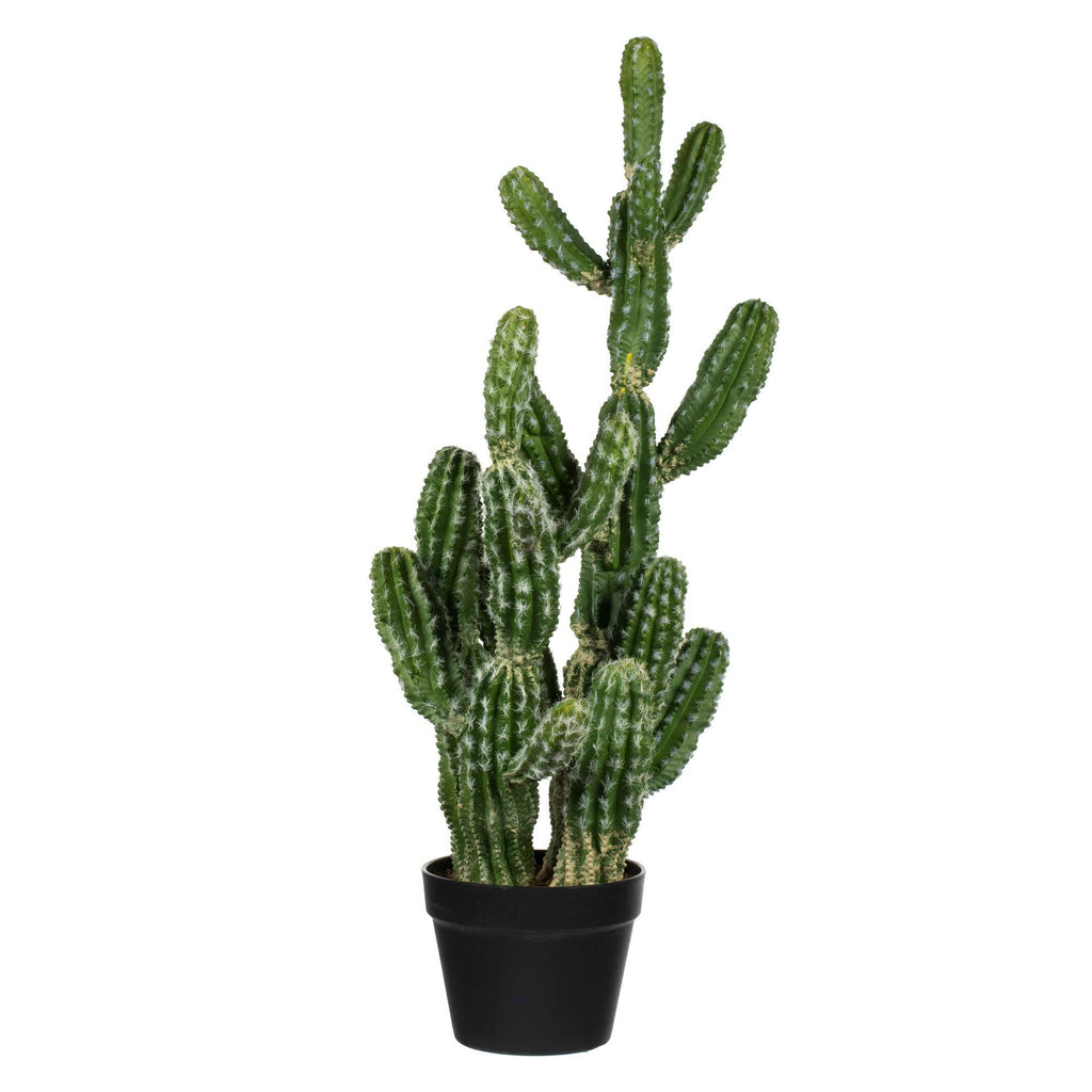 Green Potted Cactus N7133
