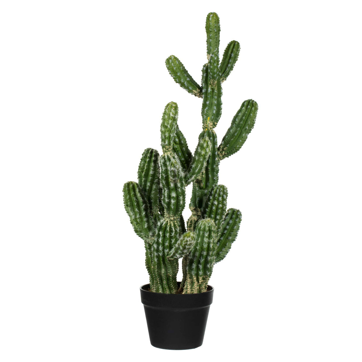 Green Potted Cactus N7133