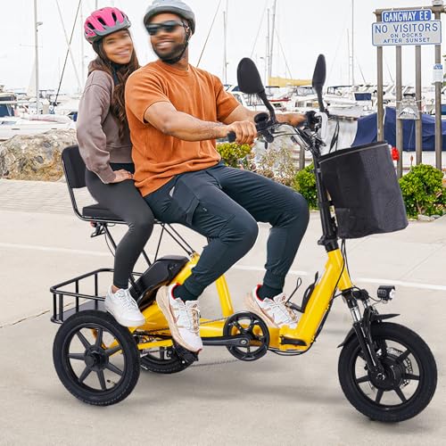 350W Folding Electric Tricycle with 480Wh Removable Battery and 2 Seats N632308