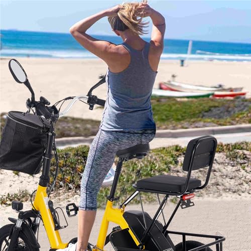 350W Folding Electric Tricycle with 480Wh Removable Battery and 2 Seats N632308