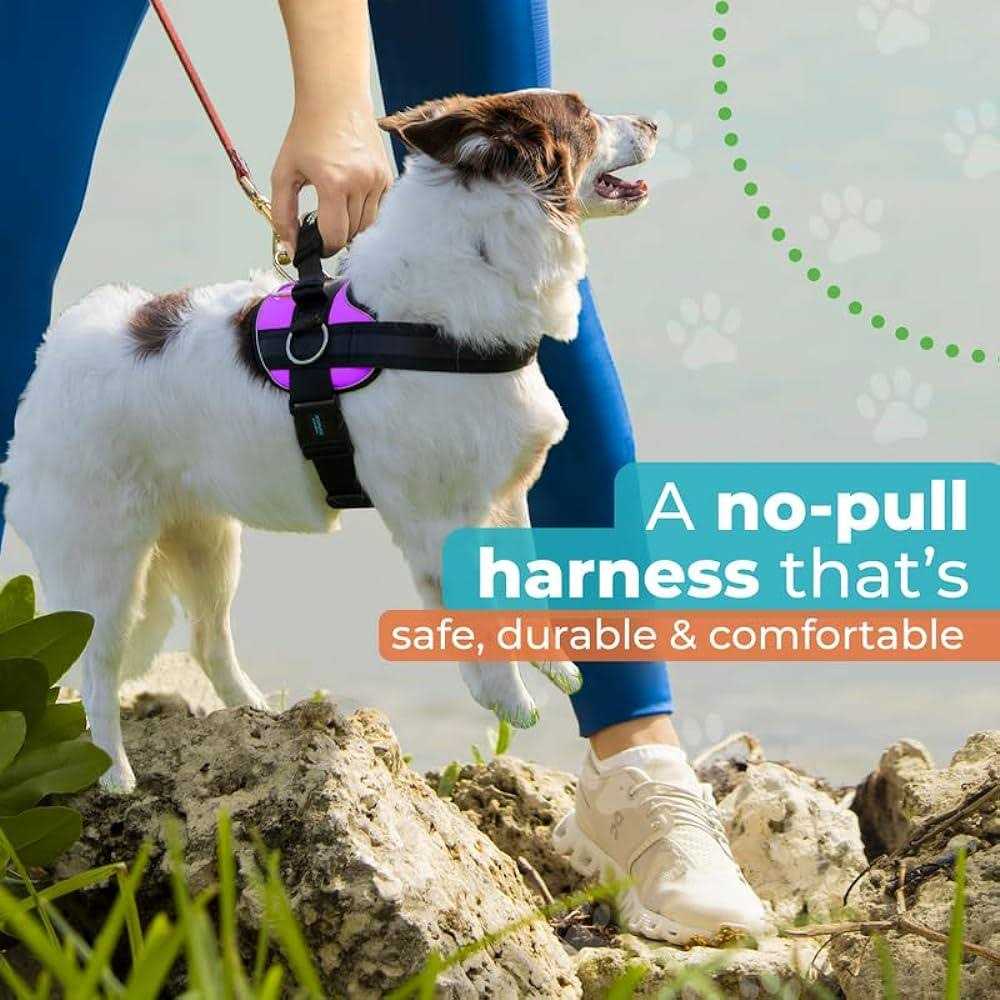No Pull Easy On-Off Dog Harness H5864