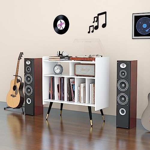 Black Vinyl Record Storage Cabinet A419