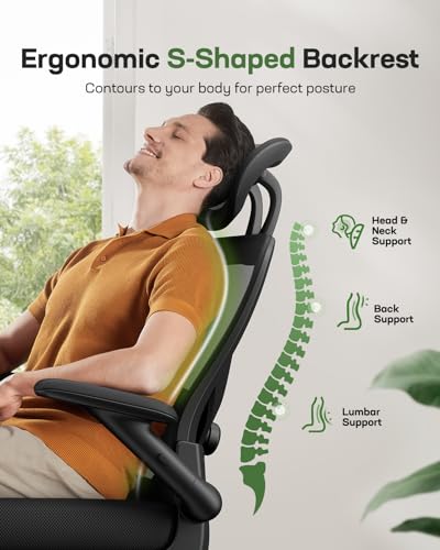 Ergonomic Mesh High Back Desk Chair with Headrest R8262