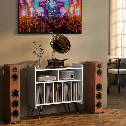 Black Vinyl Record Storage Cabinet A419