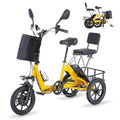 350W Folding Electric Tricycle with 480Wh Removable Battery and 2 Seats N632308