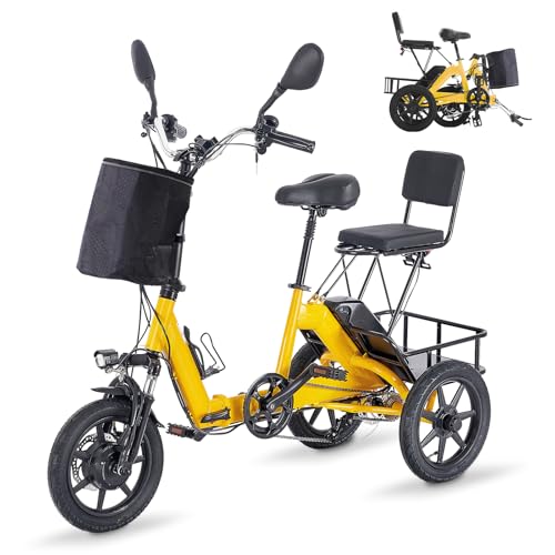 350W Folding Electric Tricycle with 480Wh Removable Battery and 2 Seats N632308