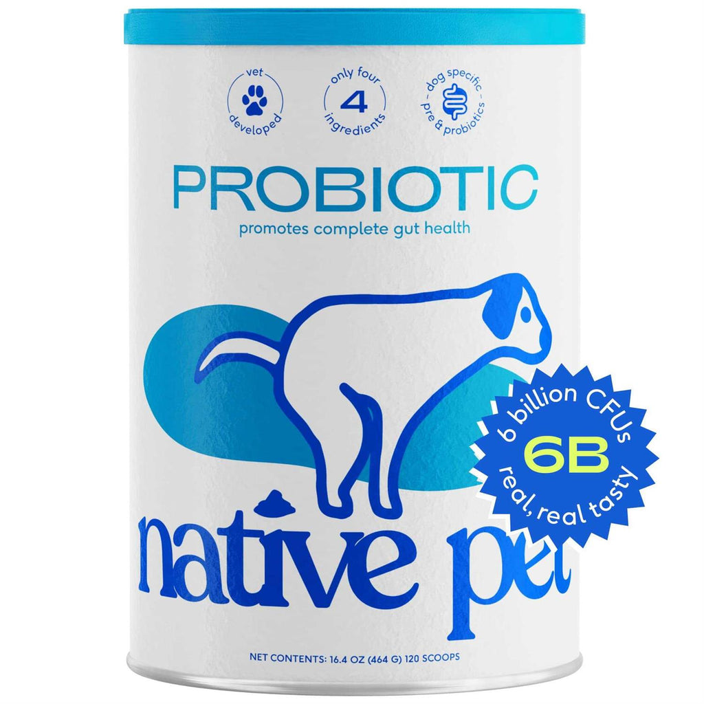 Probiotic Powder Supplement for Dogs I949179