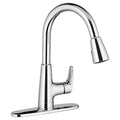Pull-Down Kitchen Faucet Polished Chrome R166