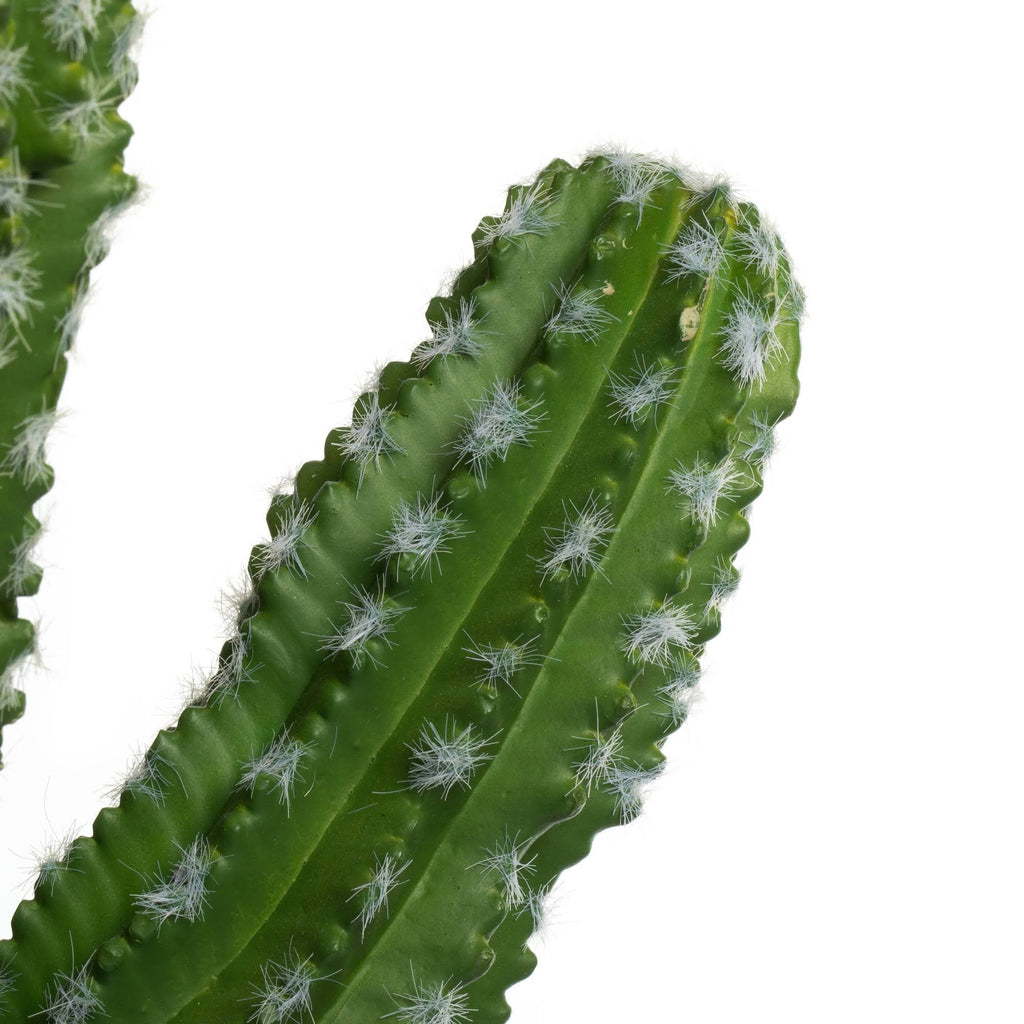 Green Potted Cactus N7133