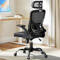 Ergonomic Mesh High Back Desk Chair with Headrest R8262