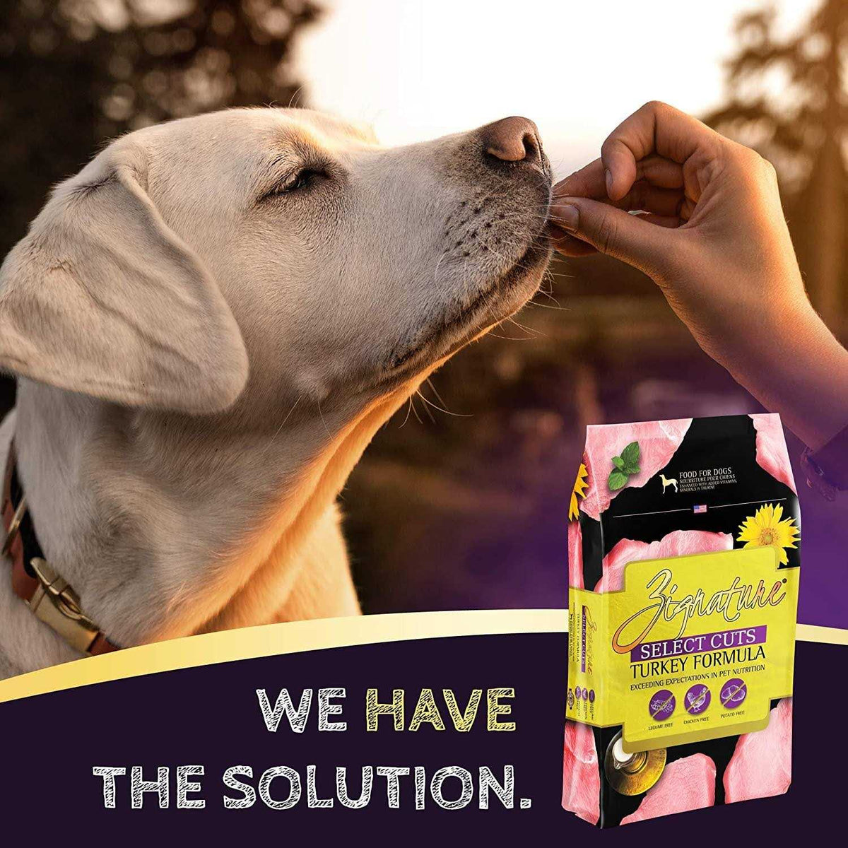 Dry Dog Food Turkey Formula S792