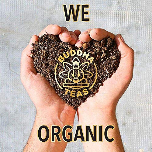 Organic Yerba Mate Tea, 18 Bleach-Free Tea Bag K225088