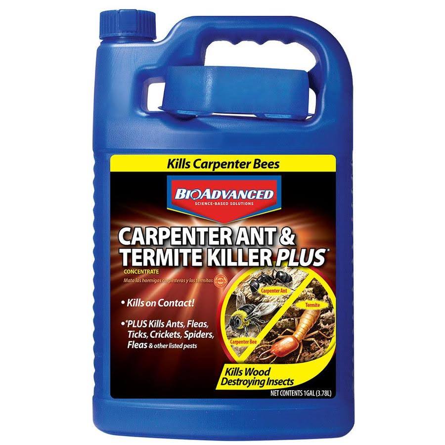 1 gal. Concentrate Carpenter Ant and Termite Killer K3802