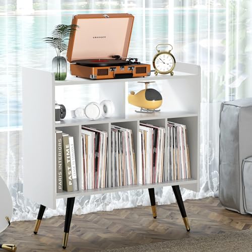 Black Vinyl Record Storage Cabinet A419