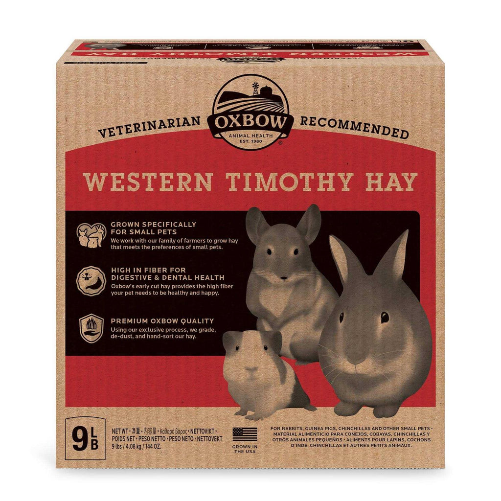 Timothy Hay A68223