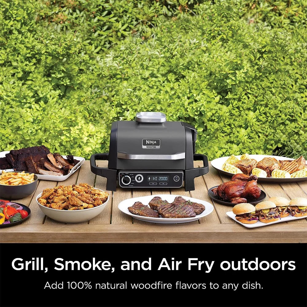 Outdoor Grill and Smoker P6431
