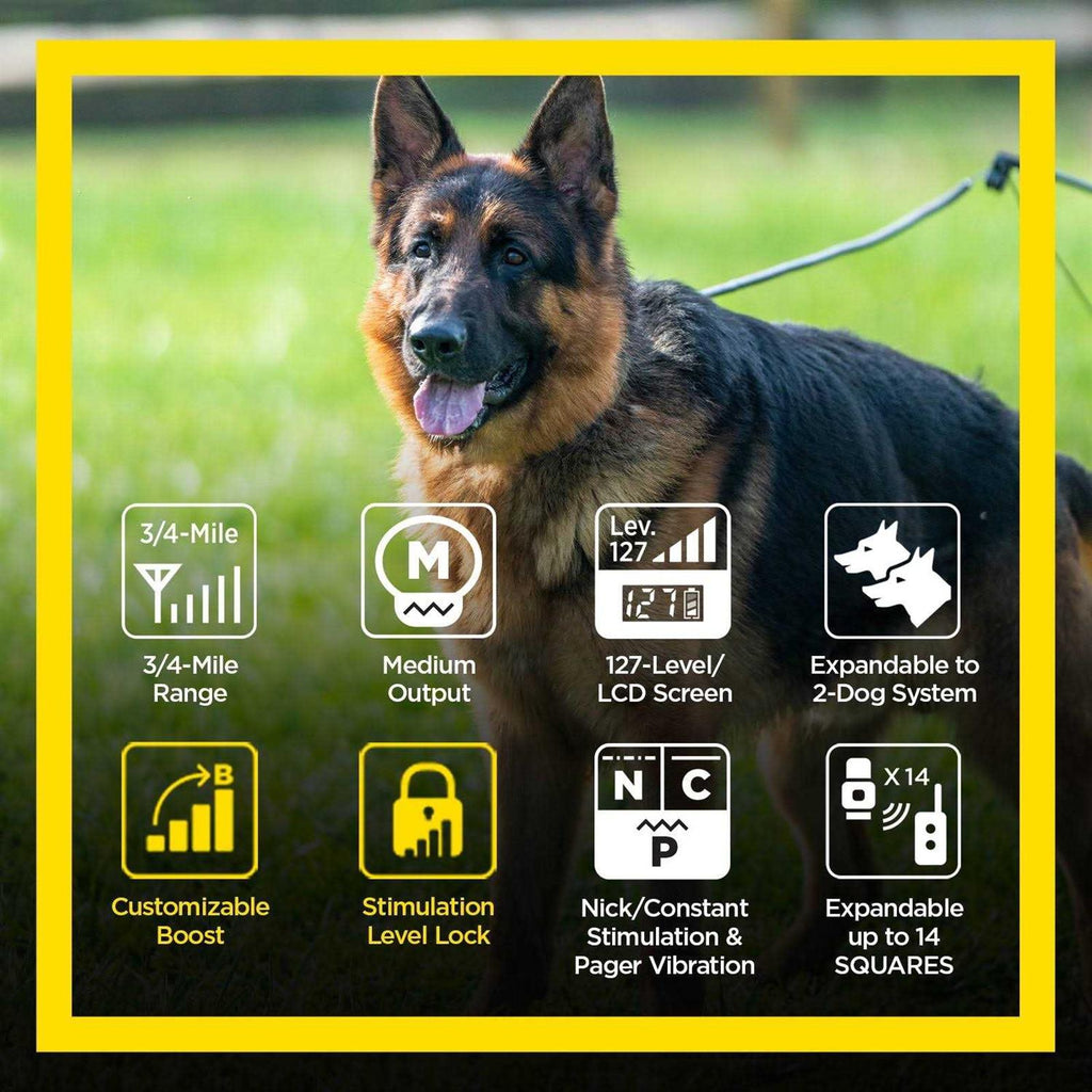 Dogtra ARC Handsfree Plus Boost & Lock D79619