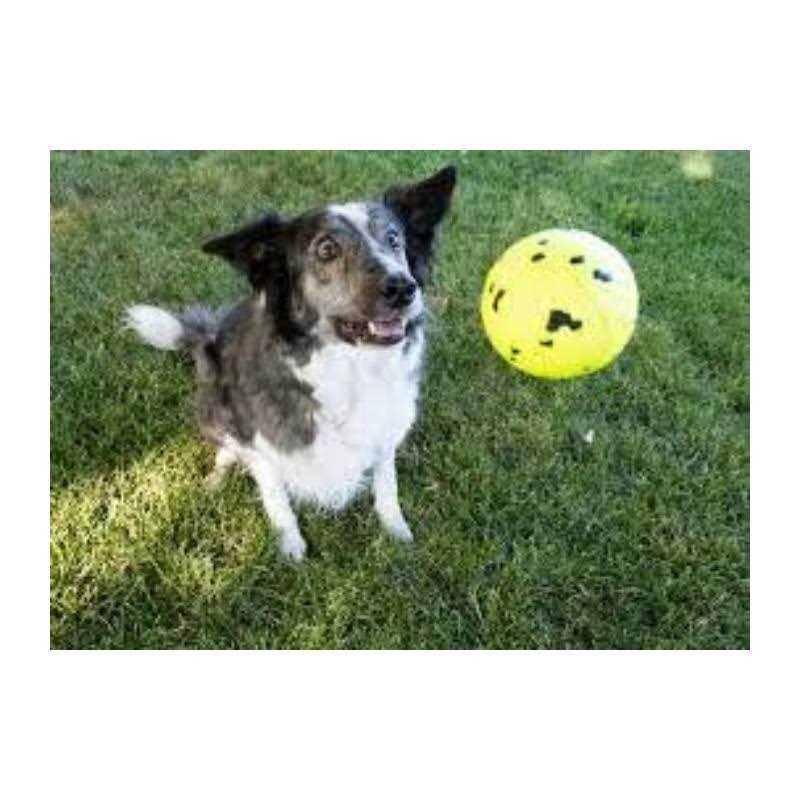 Reflex Ball Dog Toy E709390