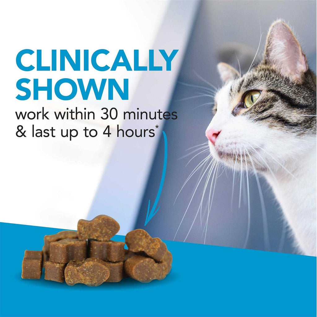 Cat Supplement U20202