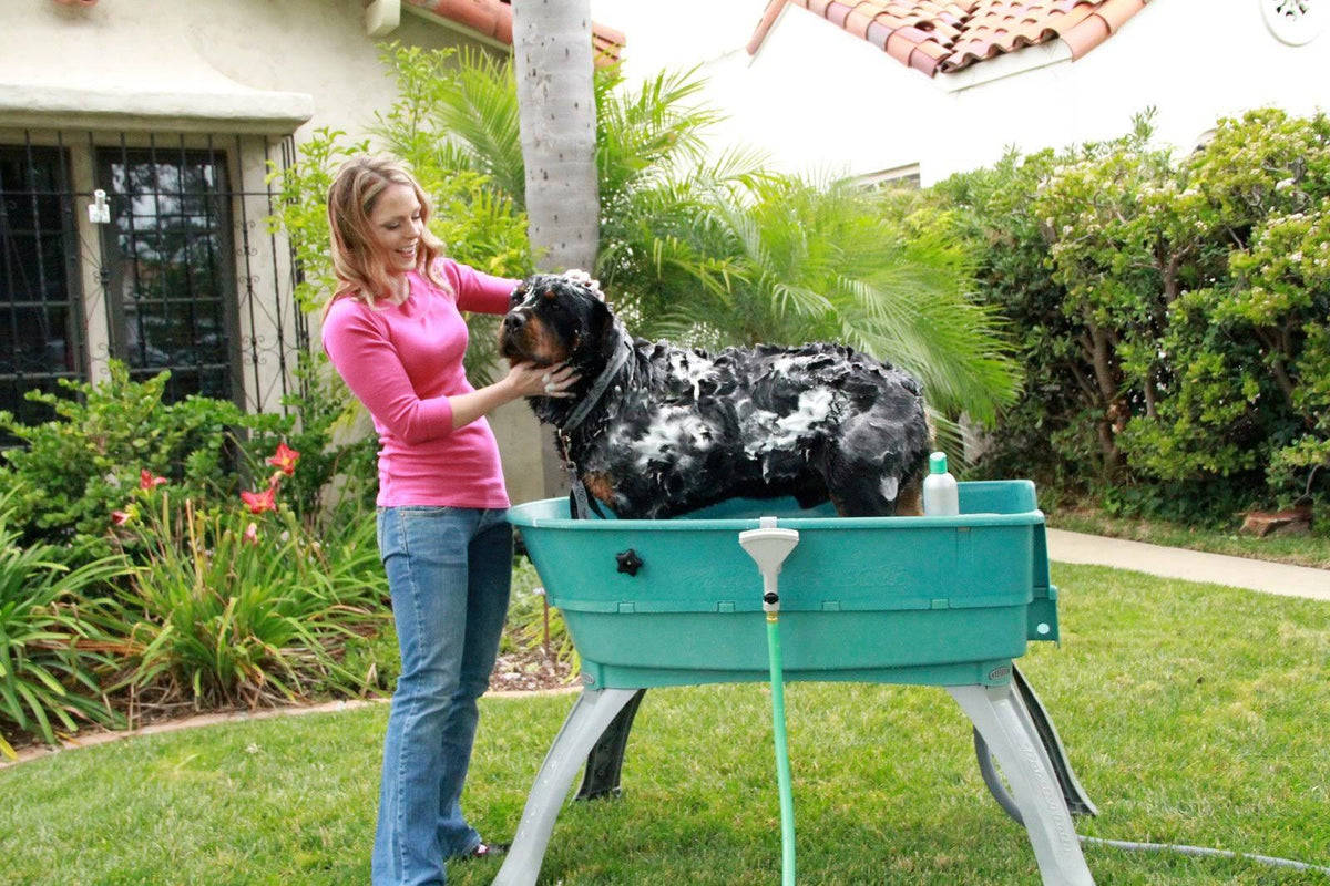 Elevated Pet Bathing Large W301