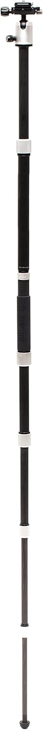 Silver 1 Series Carbon Fiber Travel Tripod with Ballhead and Monopod W900