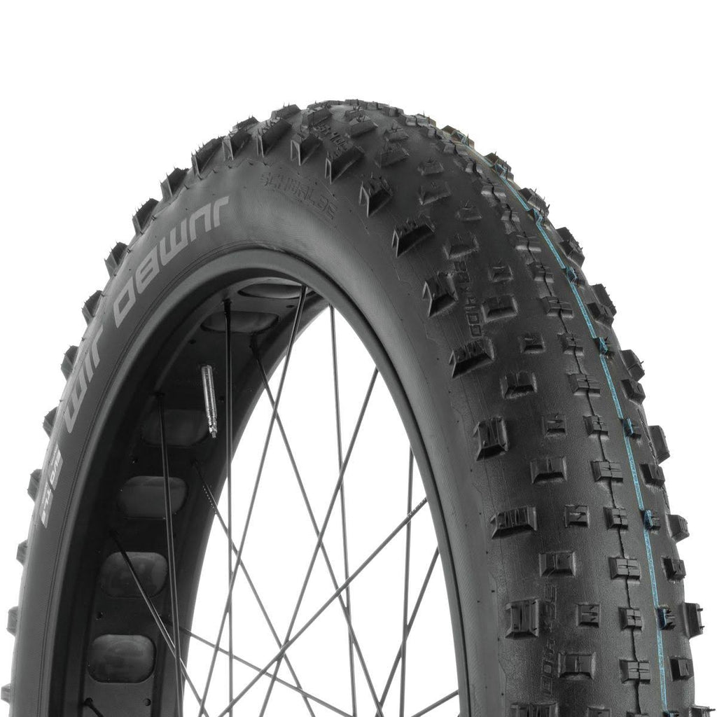 Tubeless Bike Tire M33306