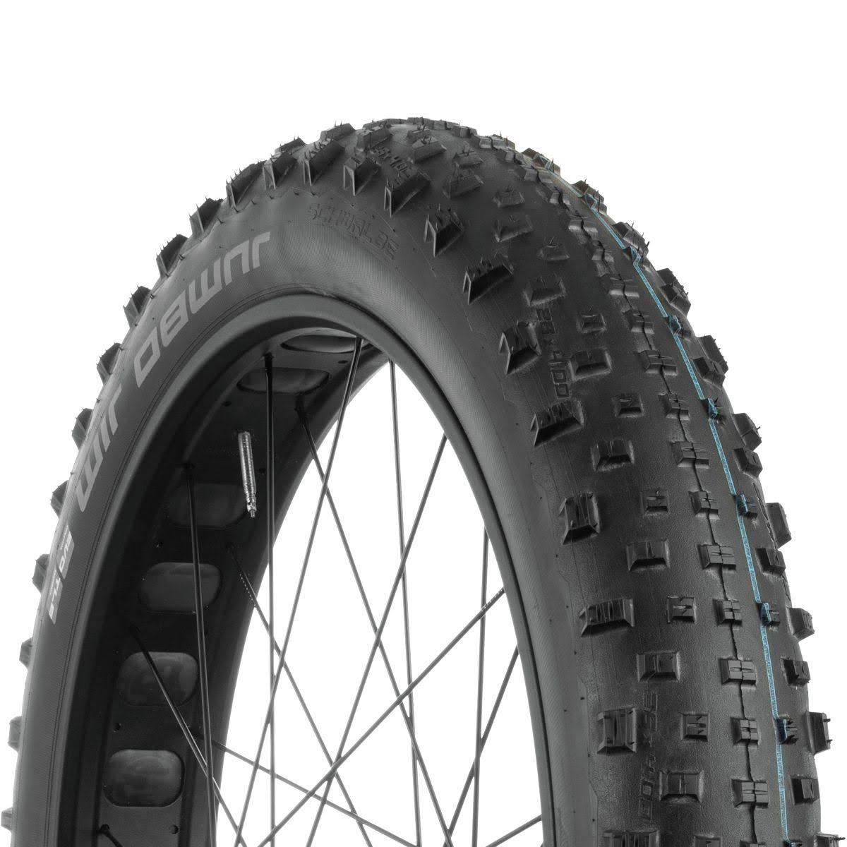 Tubeless Bike Tire M33306